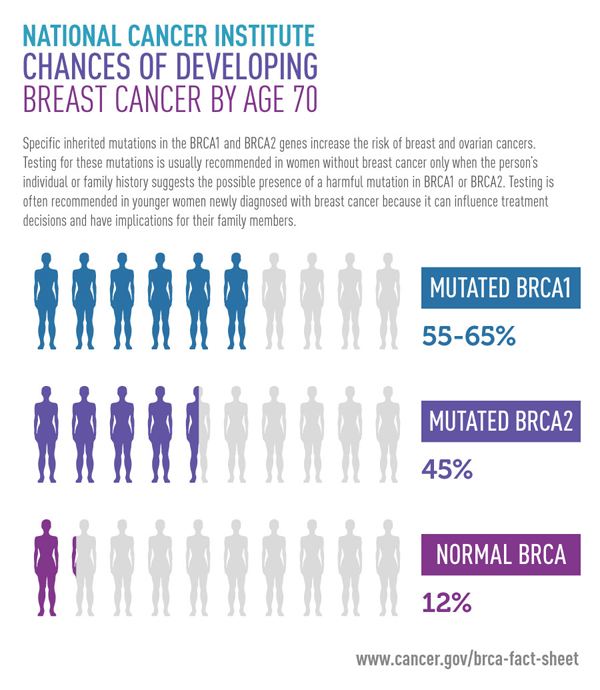 genetics of breast and ovarian cancer Genetics of breast and ovarian cancer